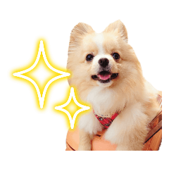 dog_gun_20231008082610