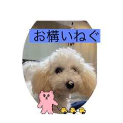 BLACK choco_20231008180848