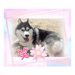 nao_20231008194435