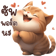 ORANGE CAT CUTE LOVER