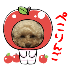 monaka_20231009080438