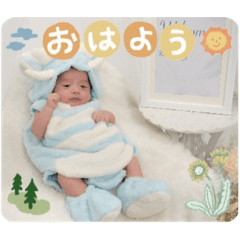 nagiomiyamairi