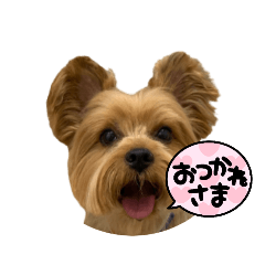 happy golf_20231009093513