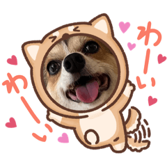 ERIPON_20231008212434