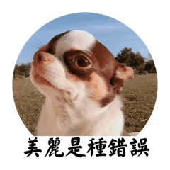 澎澎的人森