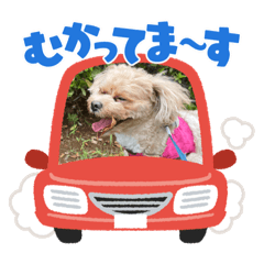 yukari_20231009012446