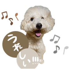 kana_20231009105649