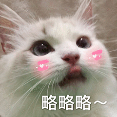 搞怪的猫咪 3 ^o^ – LINE貼圖 | LINE STORE