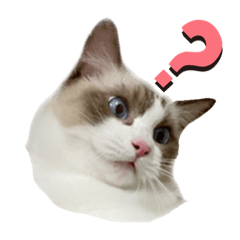 38の38
