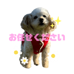 tanaka_20231008101844