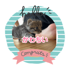OMOCHI_20231010000725