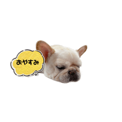 araremama_20231010025224