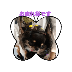 nao_20231010100440