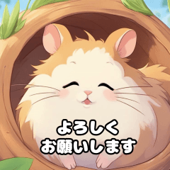 hamster001