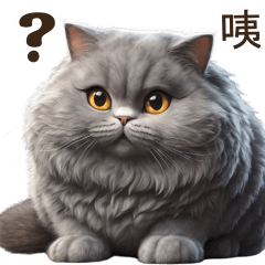 Fat Grey Cat Tuateung (TWN)