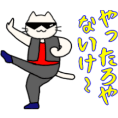 Dancing expressionless  Kansai cats