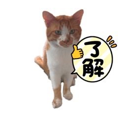 Tanaka_20231009224907