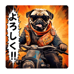 I love motorcycle! Pug rider!