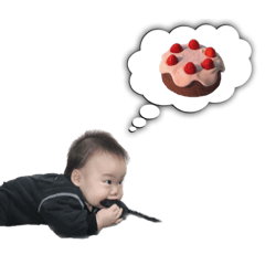 sakura_20231009213159