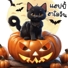 Black Cat halloween!
