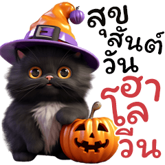 CAT Black Halloween