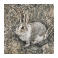 sepia rabbit