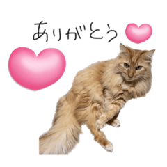 Cats stamp japanese