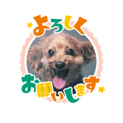 kana_20231010182308