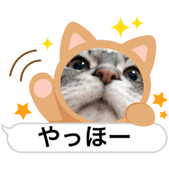 yuka_20231010201314