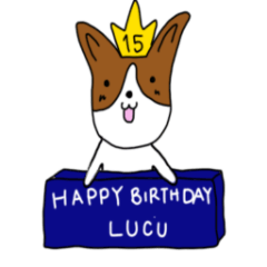 LUCU 15th HAPPY BIRTHDAY