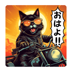 I love motorcycle! Black cat rider!