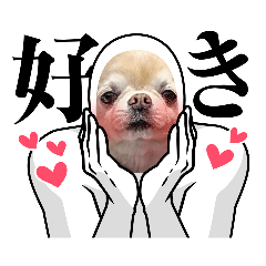 norimame