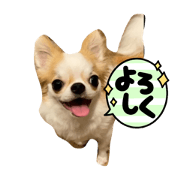 yama-dai_20231011103000