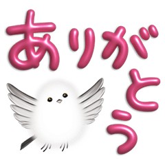 Cute little birds "Shimaenaga" 8