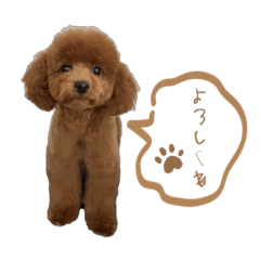 komugistamp_20231011093031