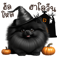Pom Blacky Dog Halloween
