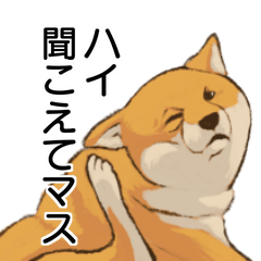 Shiba Inu for communication