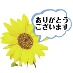 omo_20231011210713