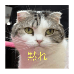 tumugi3_20231011191104