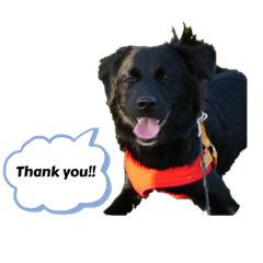 chisa_20231011234840