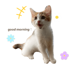 sakura_20231012002529