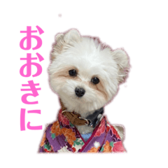 hana_20231012002400