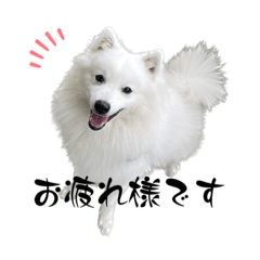 omochi_20231012102525