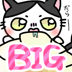 Happy and cute cat dai-chan big