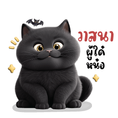 Char Coal Cat Black : Halloween