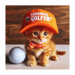 Serious golfer_20231012002400