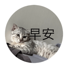 小巴庫
