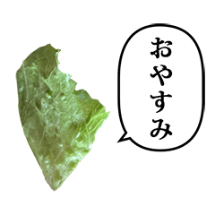 retasu 1kire lettuce salad 7