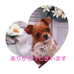 Suzu_20231013012452