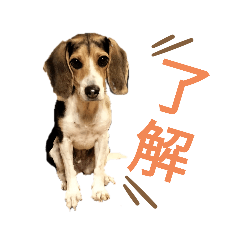 SUZU_20231012211655